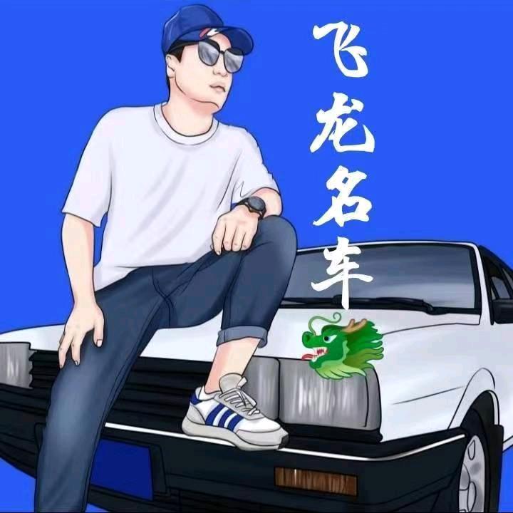 飞龙 名车