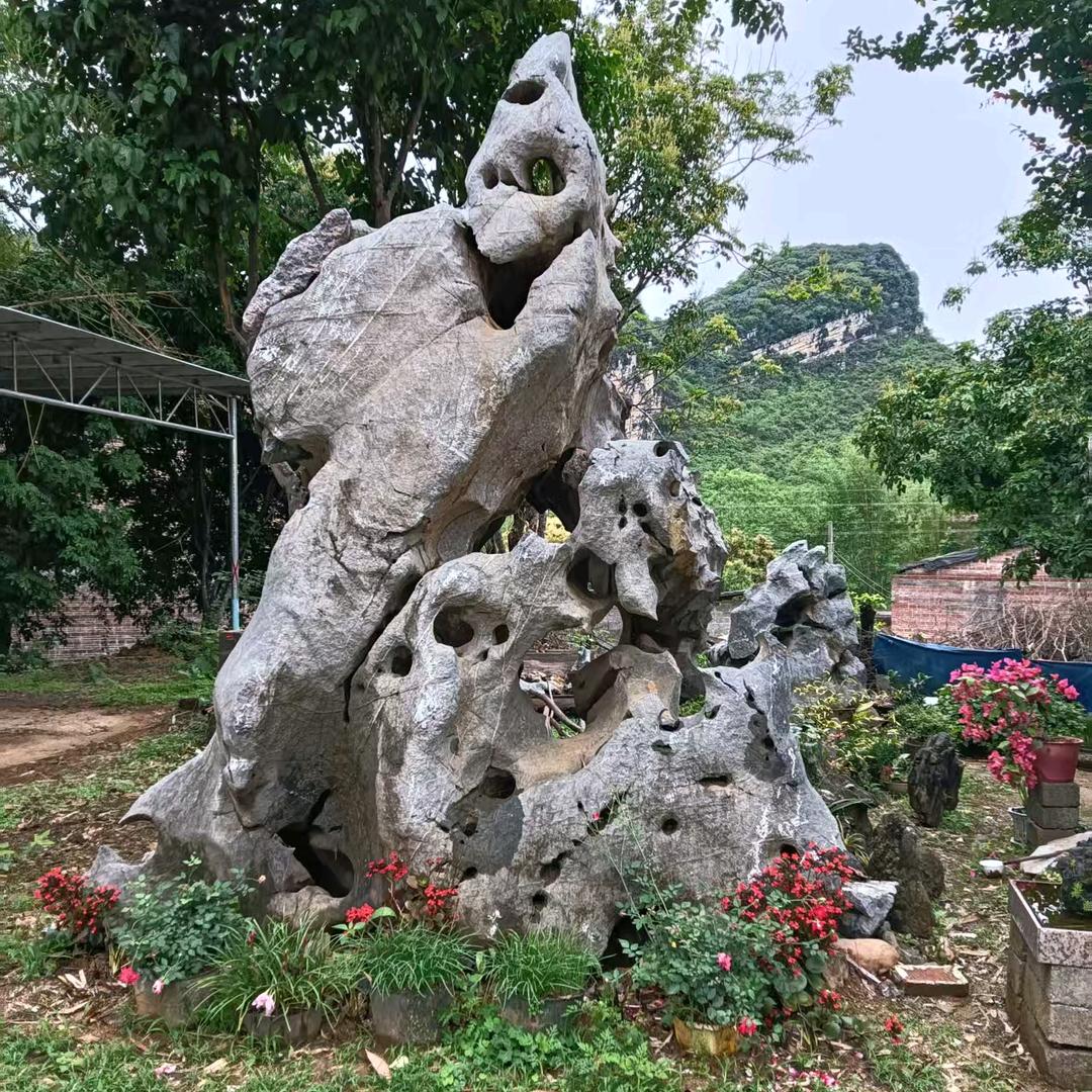 重生后︿我石来运转