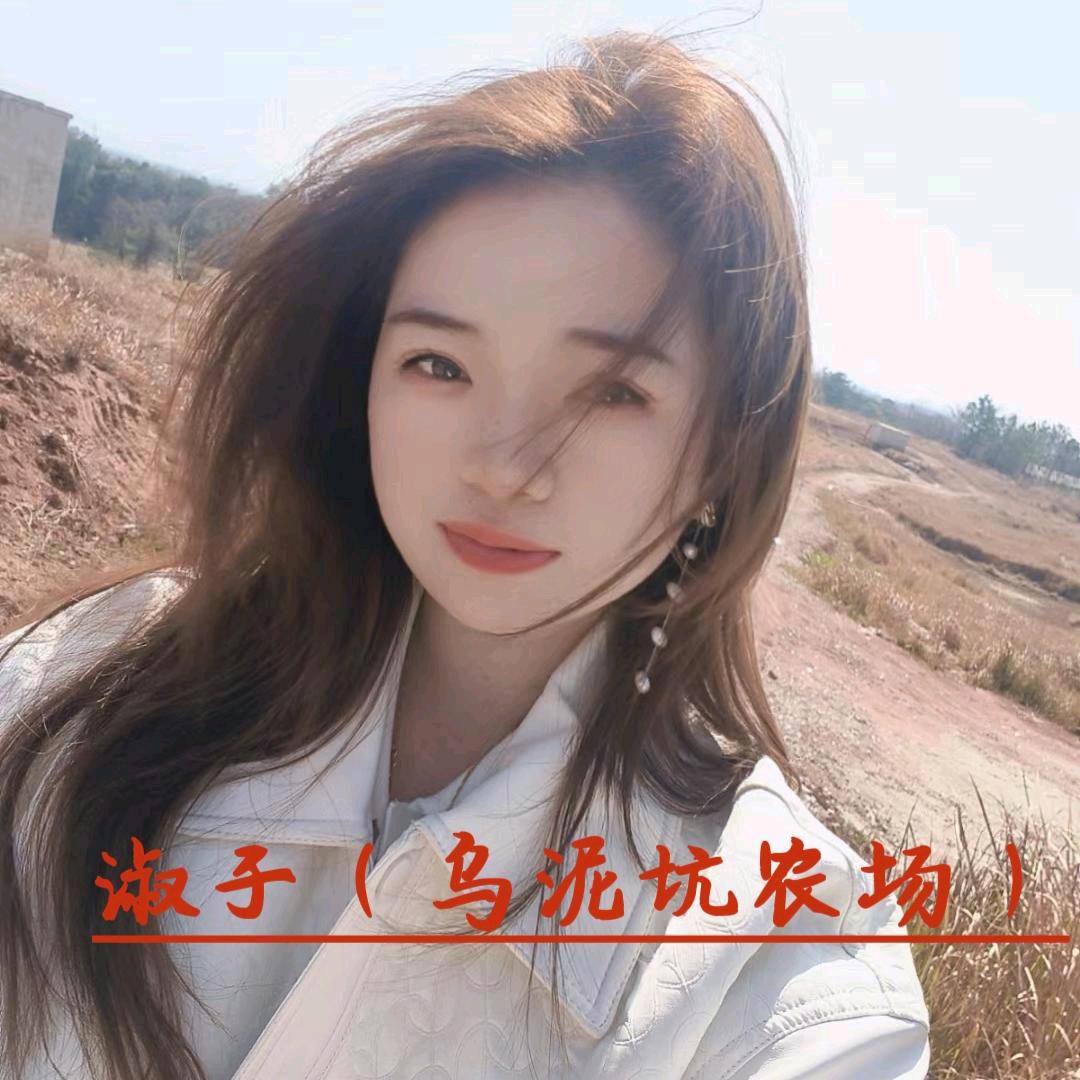 乌泥坑土鸡 正宗自家赣南脐橙 淑子
