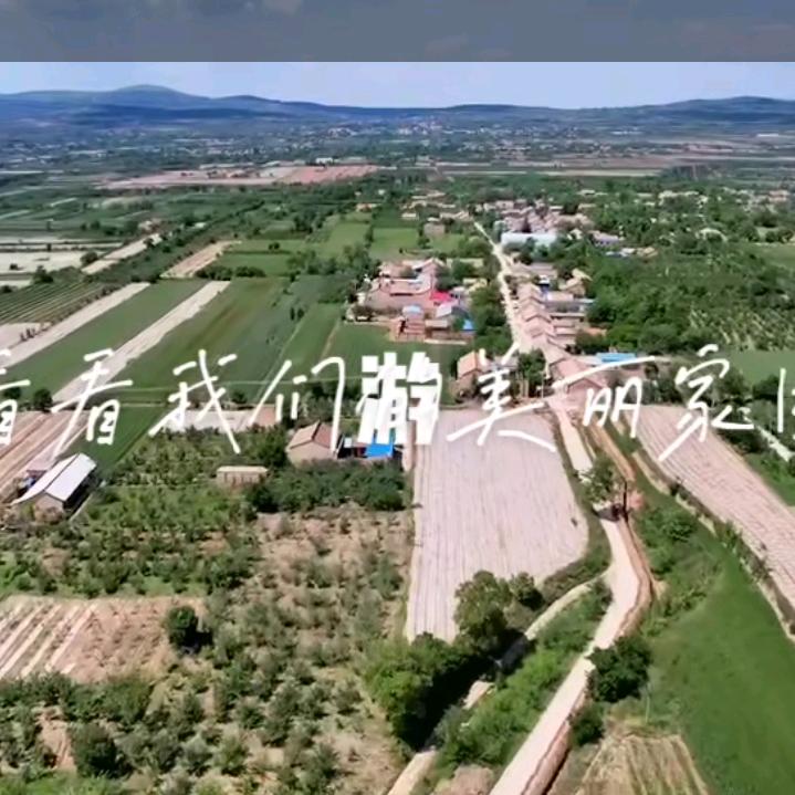 521《面对现实》