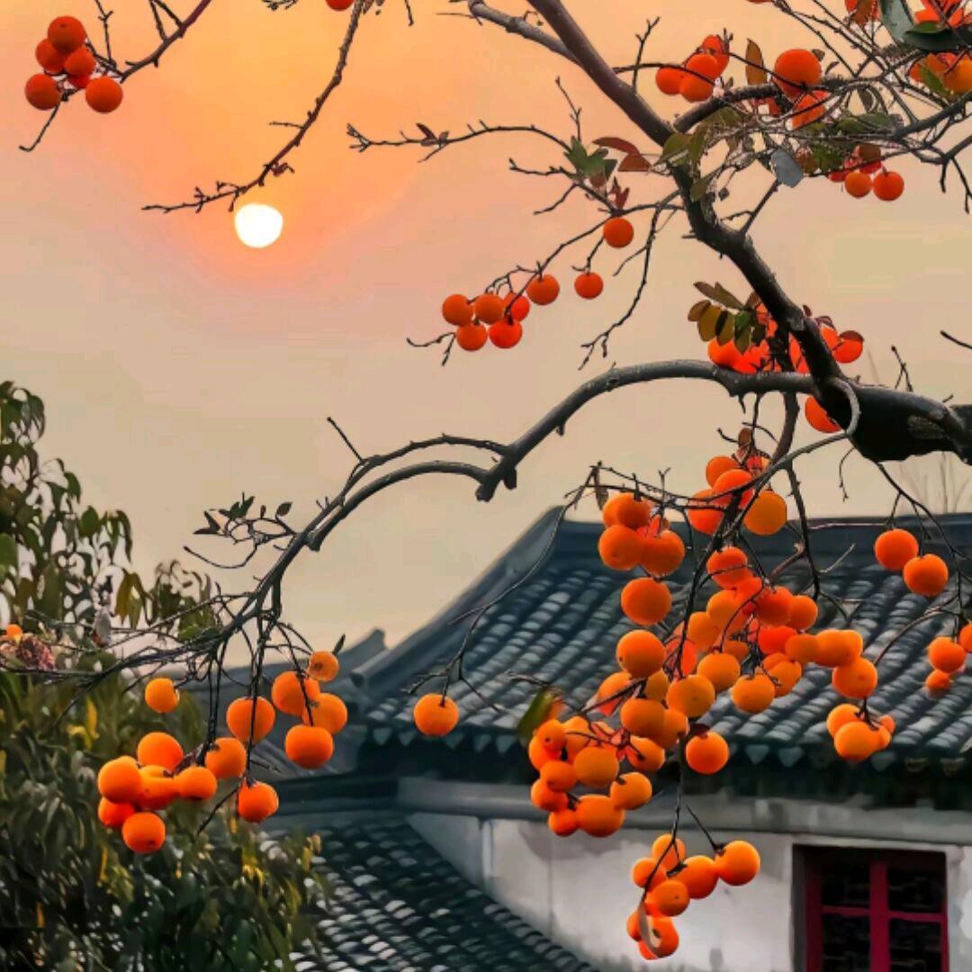 珍惜.