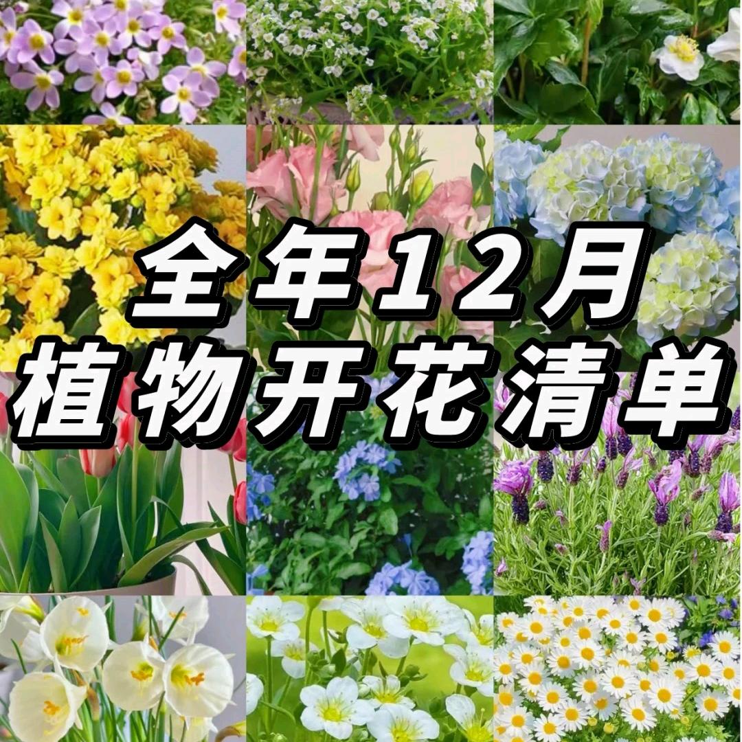 豫鄂百货商行