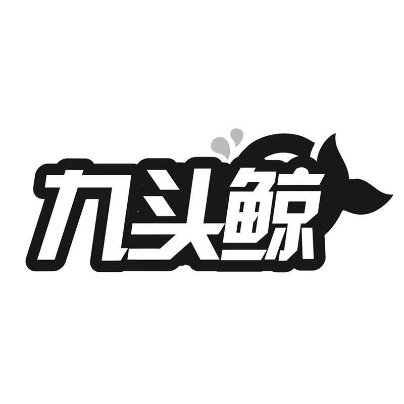 九头鲸灯具旗舰店