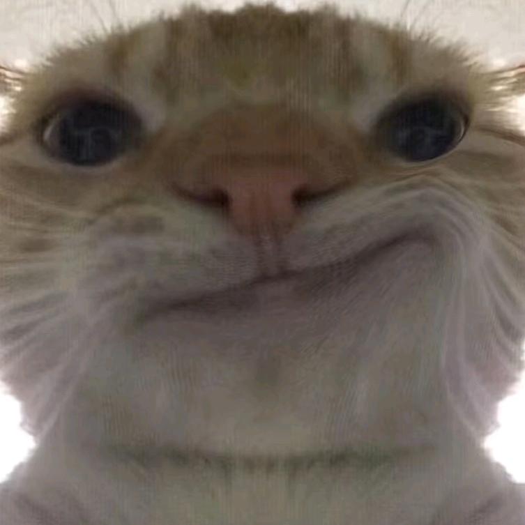 玩的很杂の于