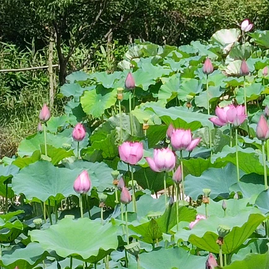 感恩有你