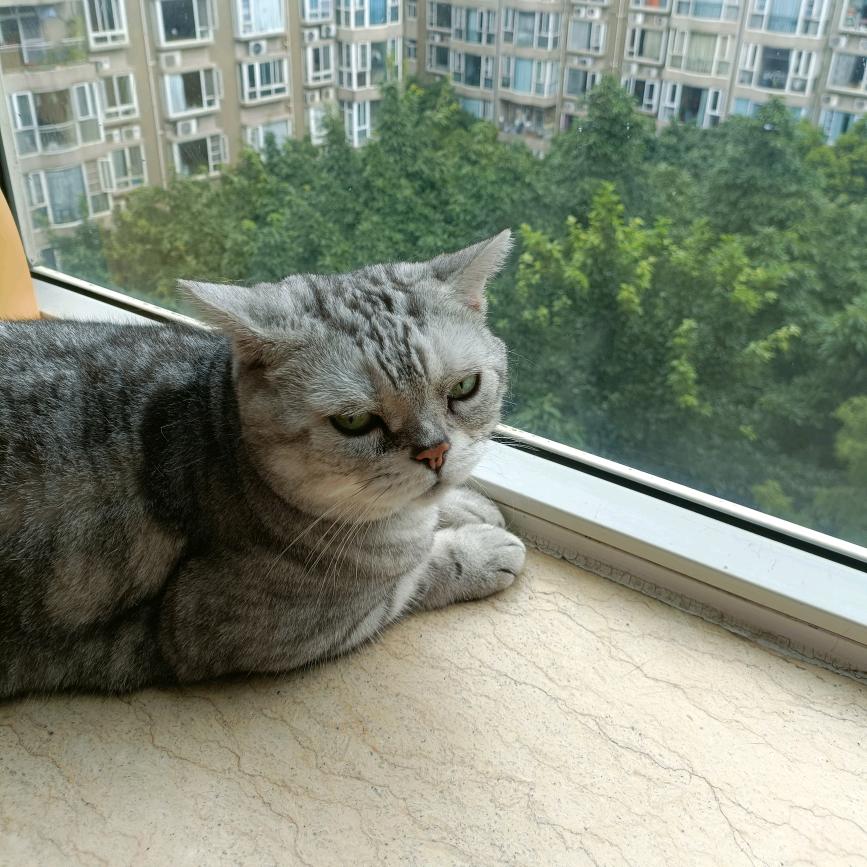 打工人小凌