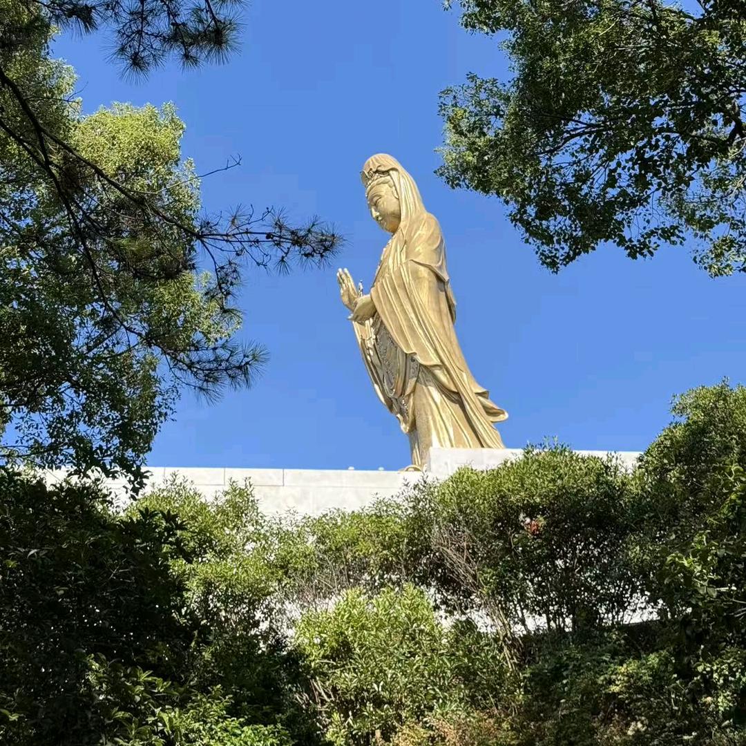 🌱燕姐