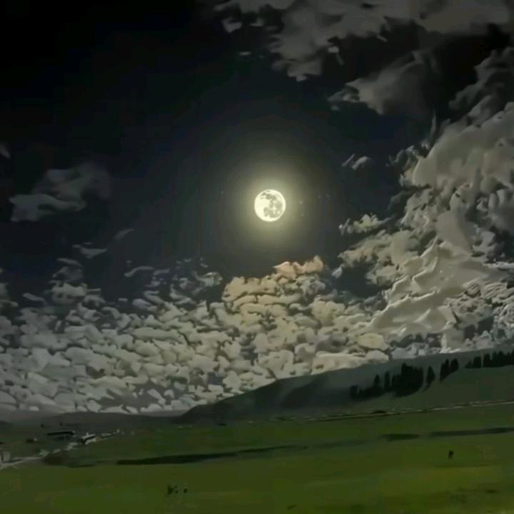 40662432595
