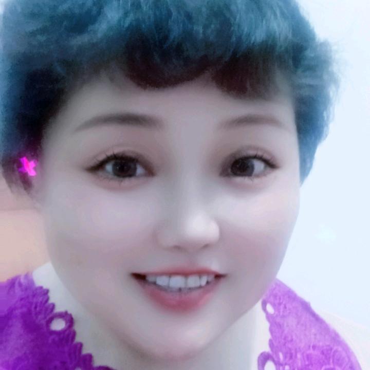 杨文菊