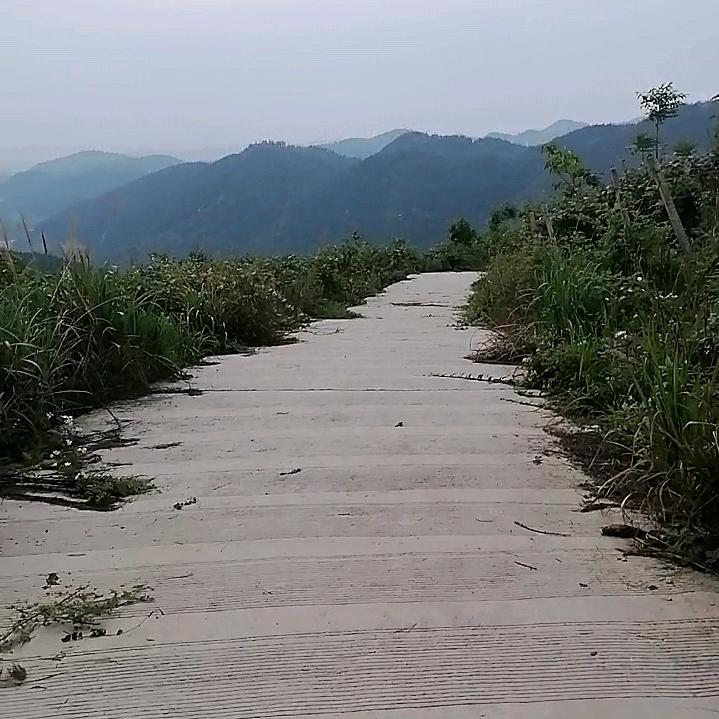 上善若水