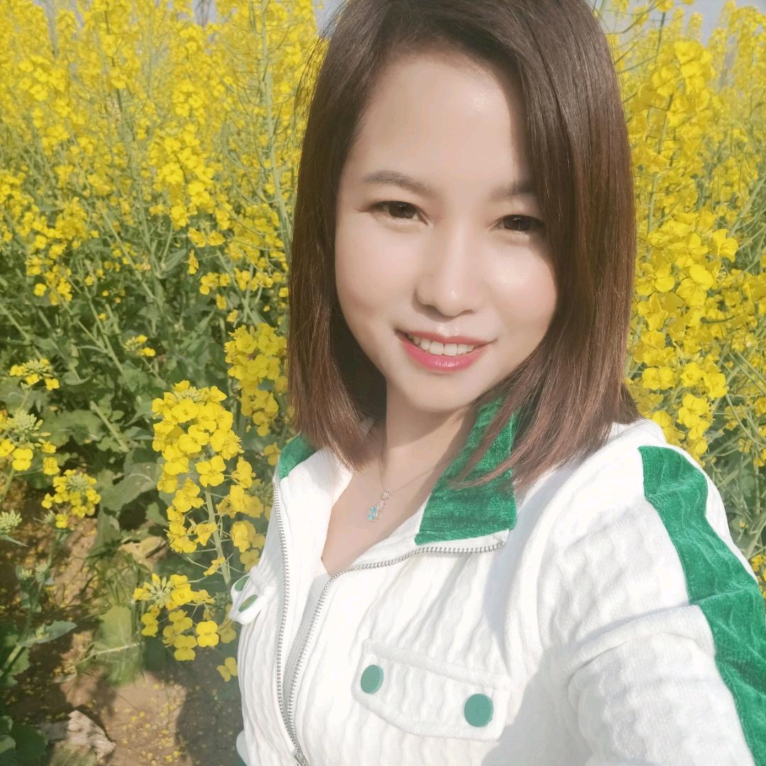 蝶舞飞扬