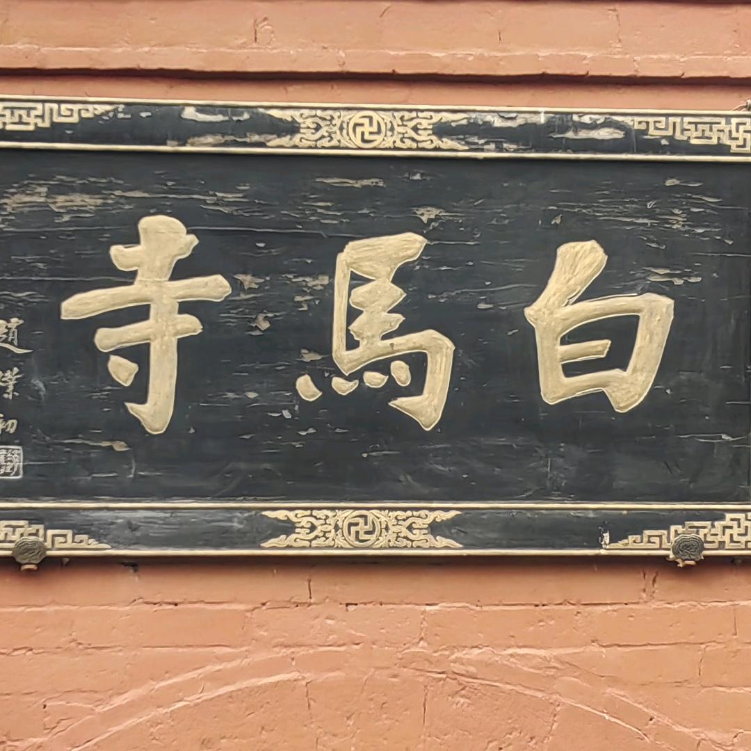 菲飞