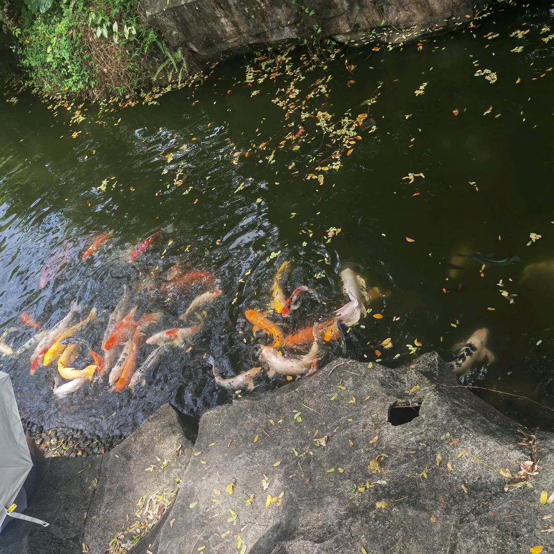 简单点