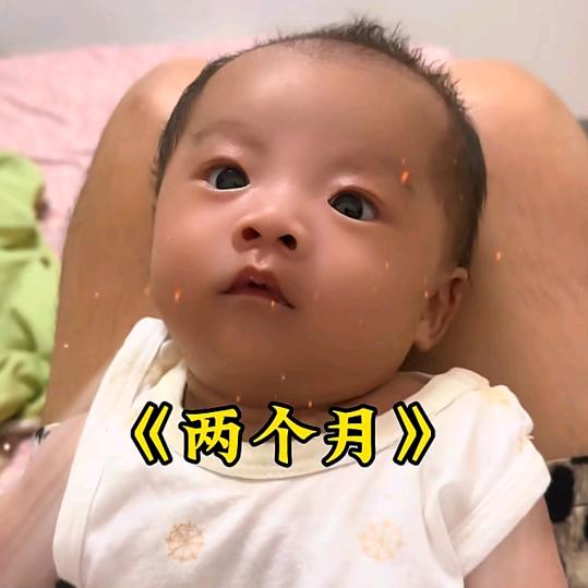 沈么小核桃（桃妈）