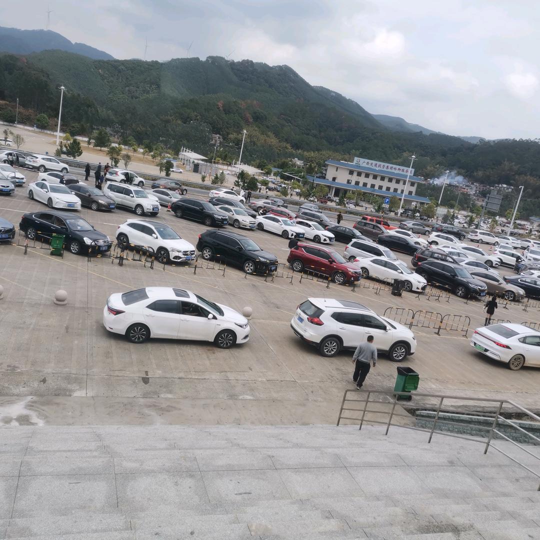 春天更阳光