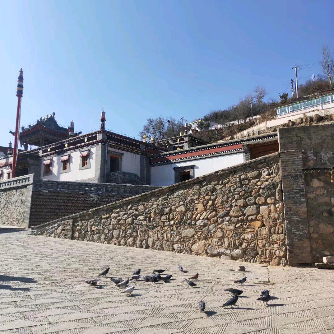 龙哥的铺子