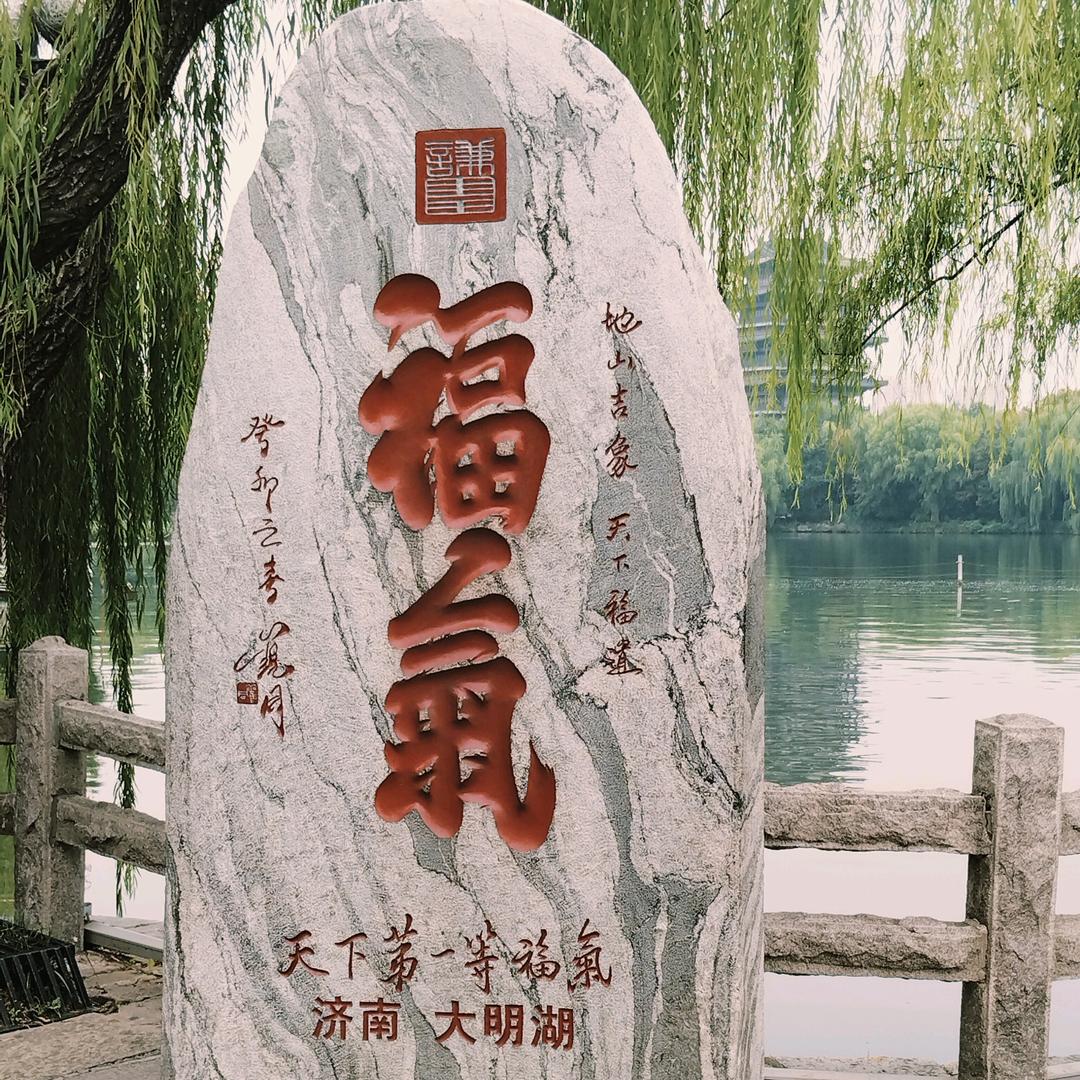 会飞：的鱼