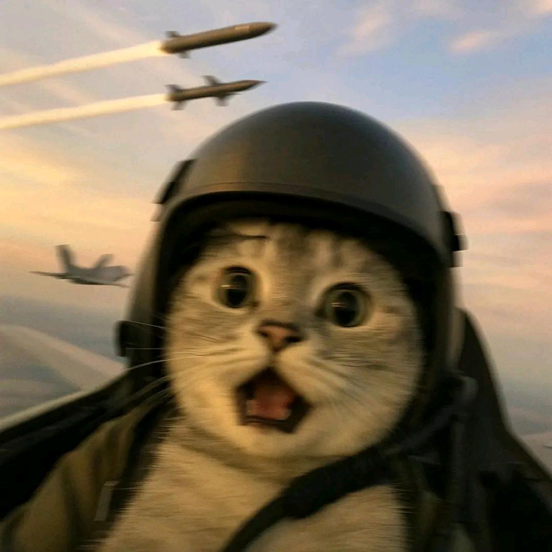 佩