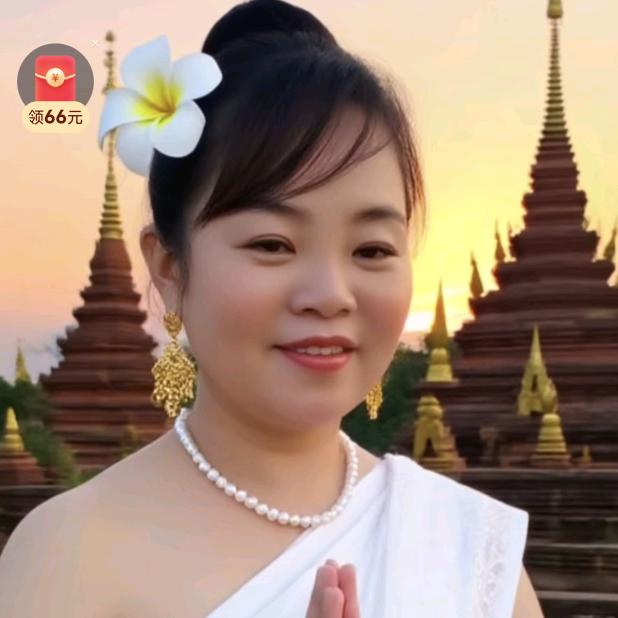 ✨向阳花开🌻
