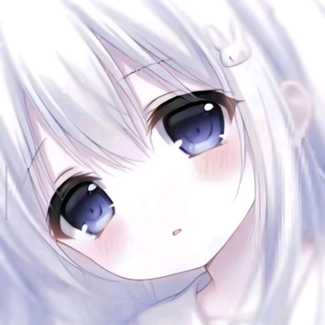猫猫兔
