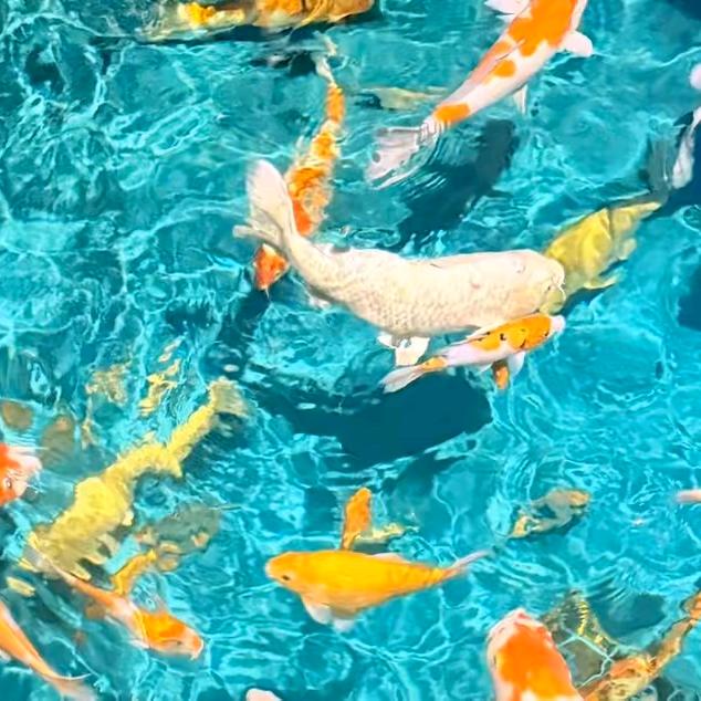 润生万物