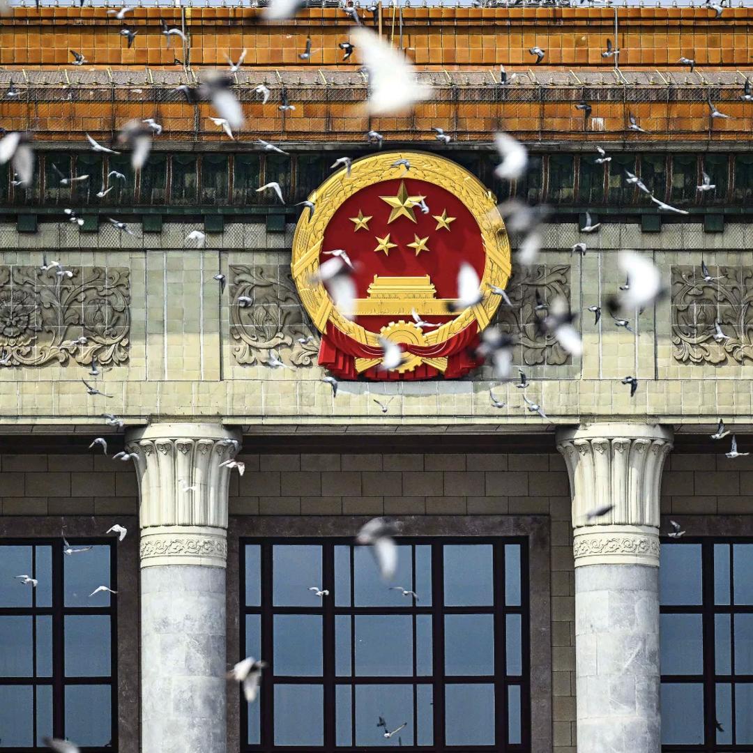 偏我来时不逢春。