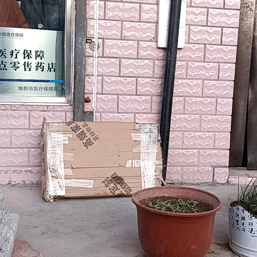 巅峰天下
