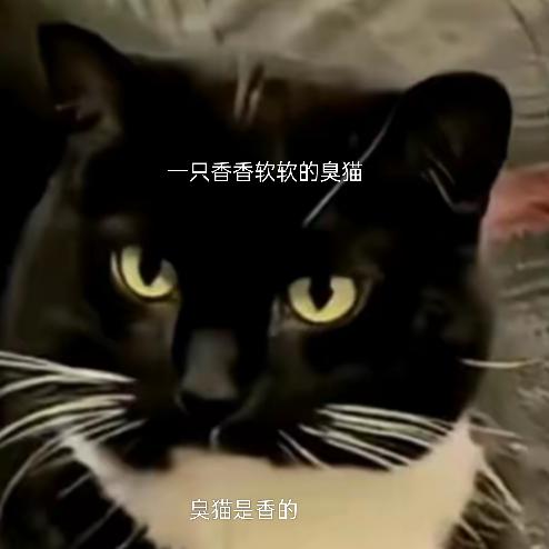 小零食(关注必回关)