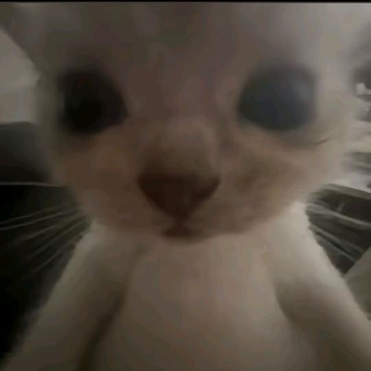 下次再说