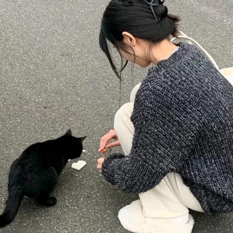 锦茉