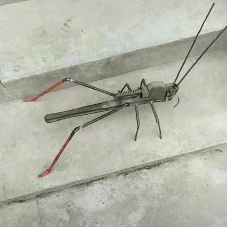 抖音搜