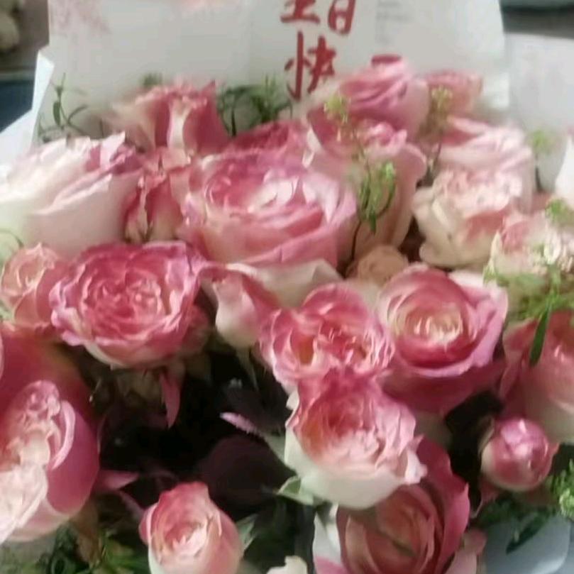 一个拼命赚钱的女人