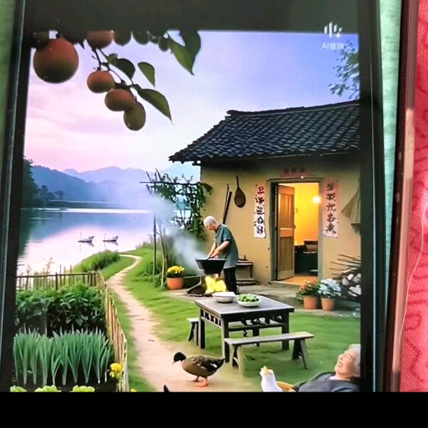 小英的橱窗