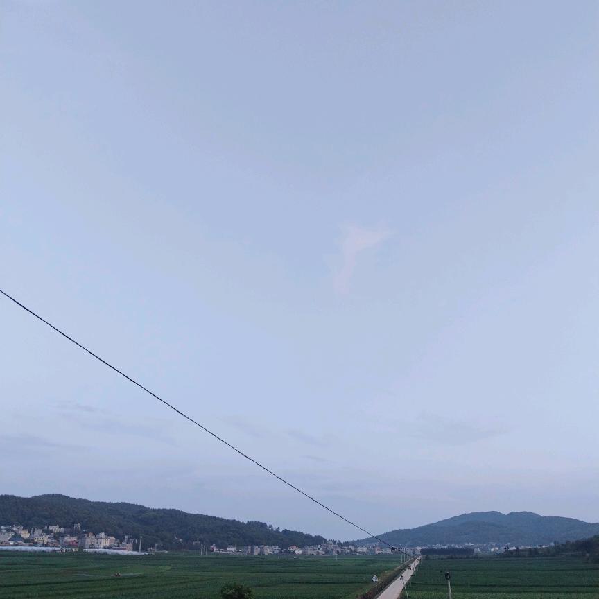玲儿