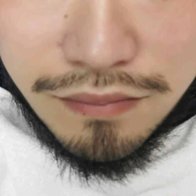 飞翔的赛斯科