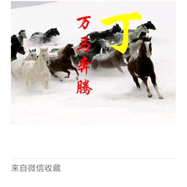 精品男人走到天涯海角找到我心上人