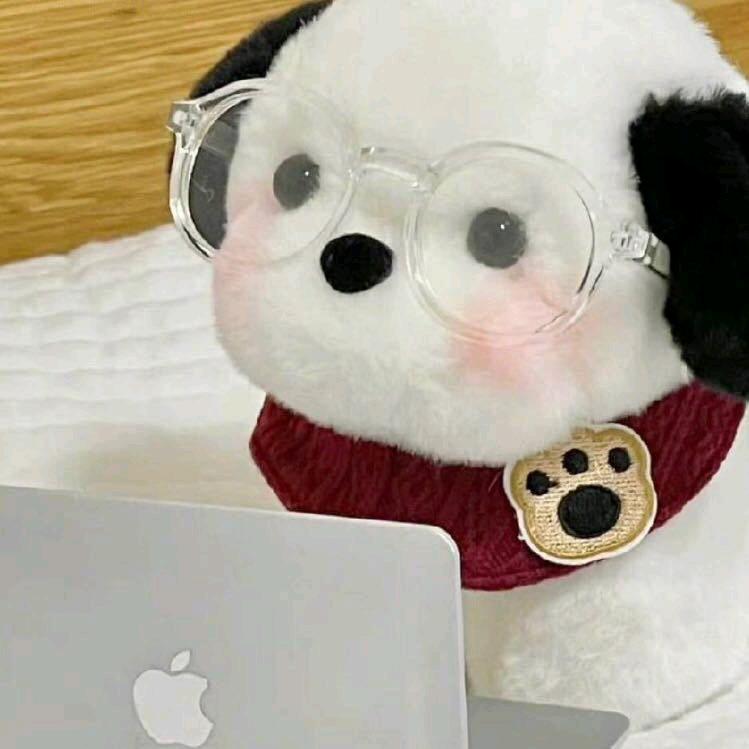 什亦菲