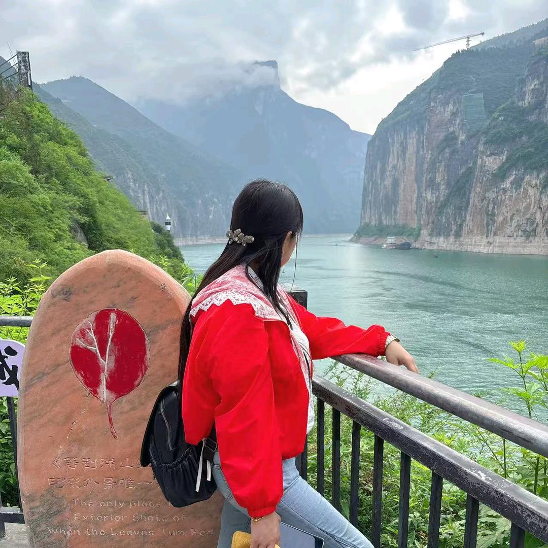 陈家大小姐