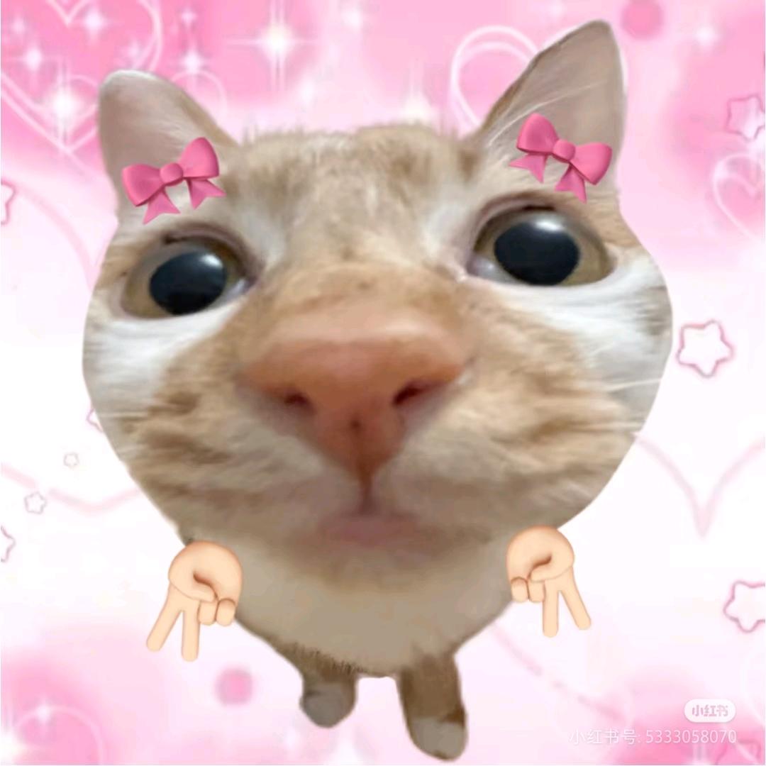 今天也晴呀