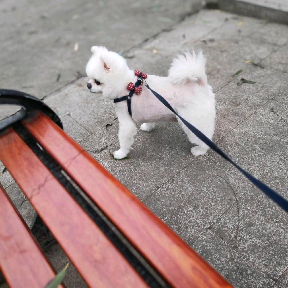 吴烦恼