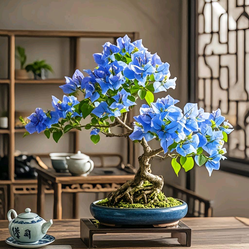 春水园花卉