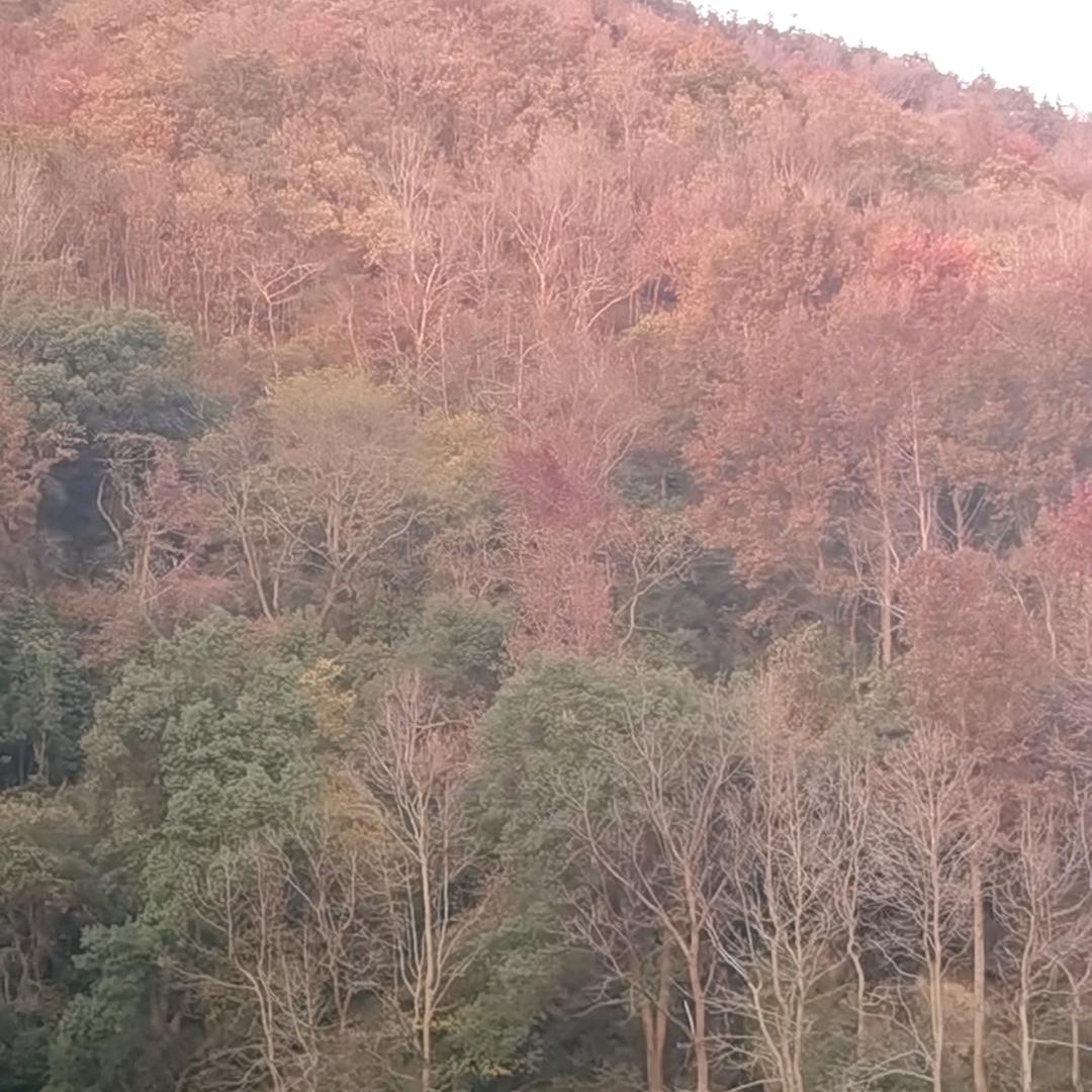天合