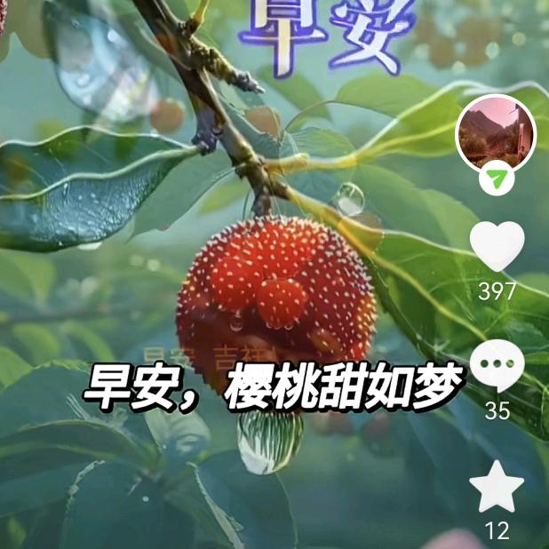 ઈ᭄劉连꧔ꦿ᭄忘返💗⃤༊