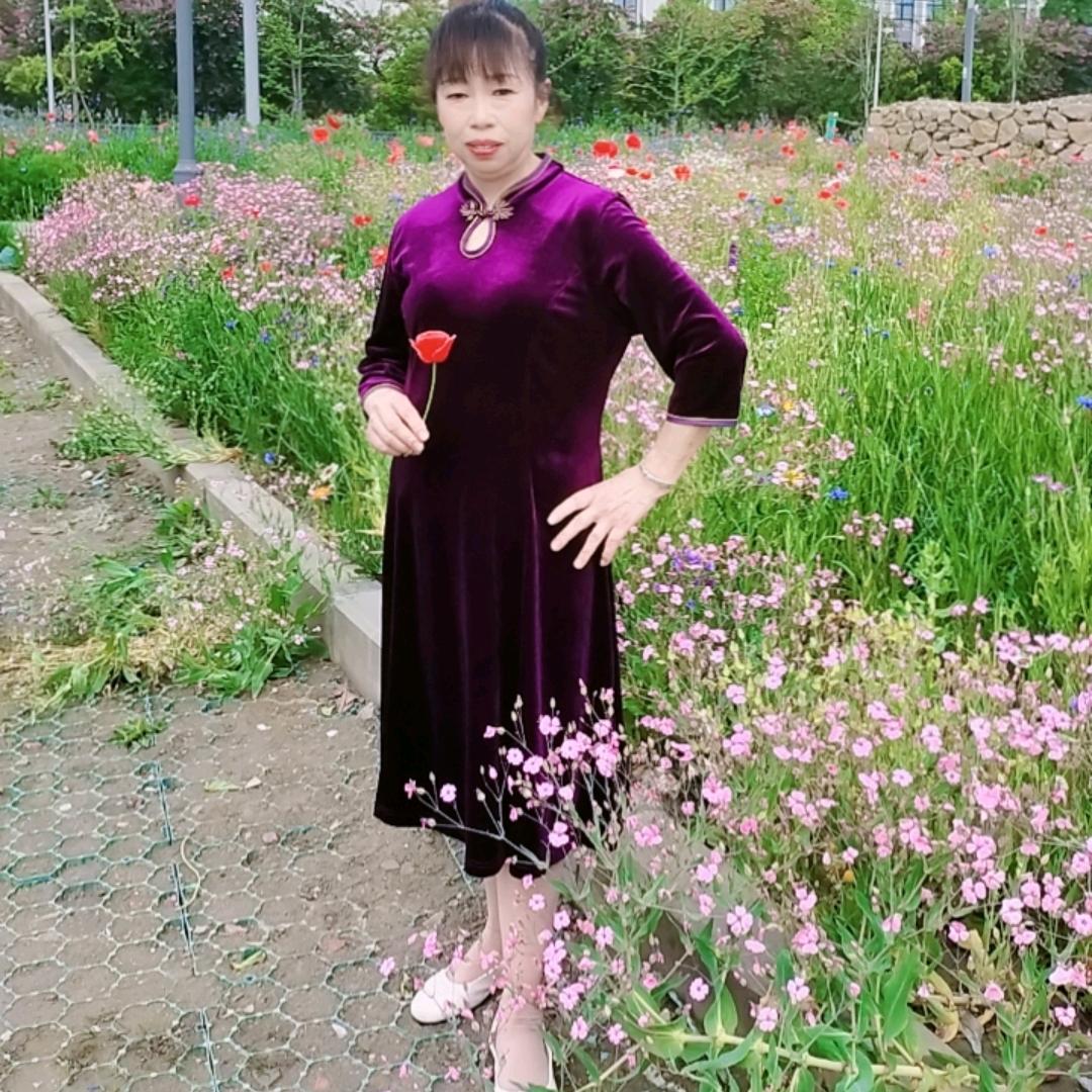 随心所欲
