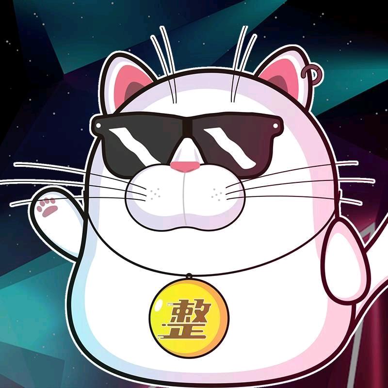 整车族二筒