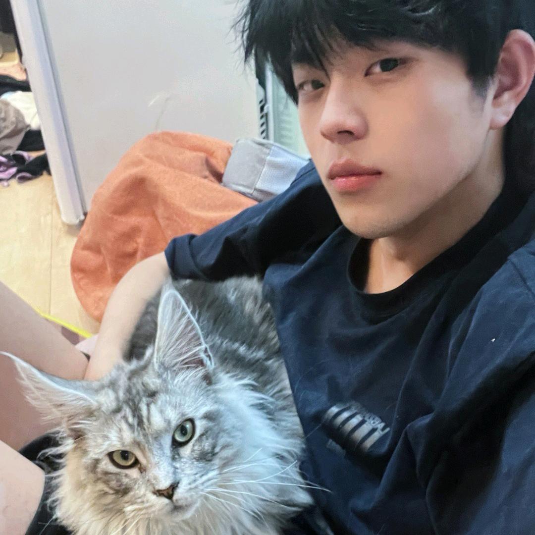 猪头