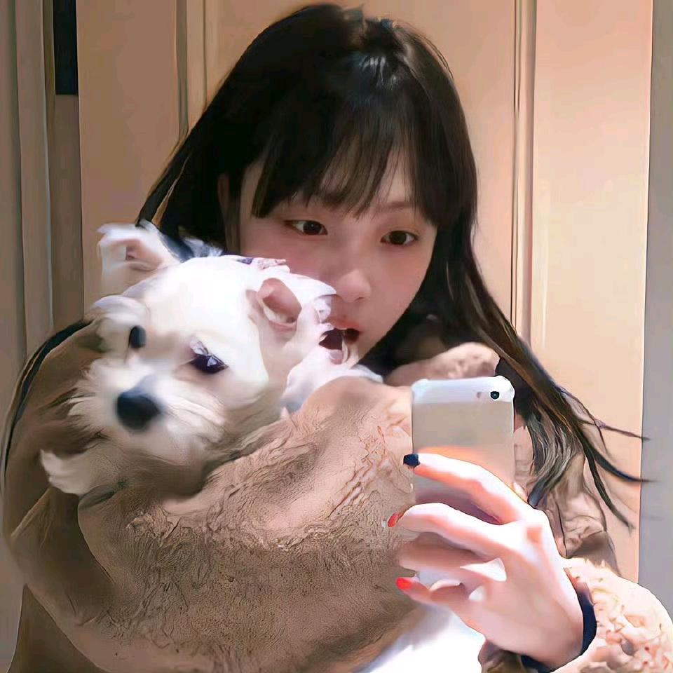 装忧郁被狗追