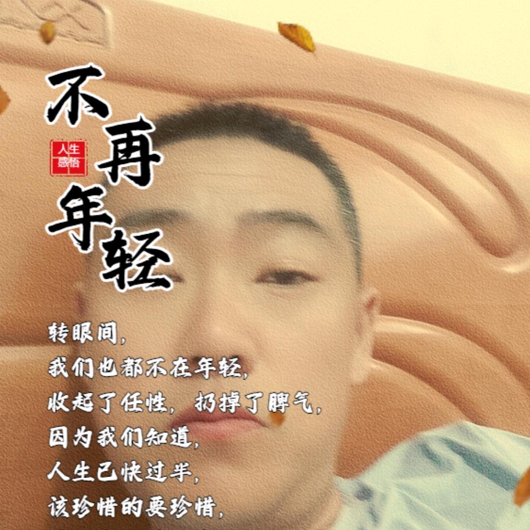 自由飞翔