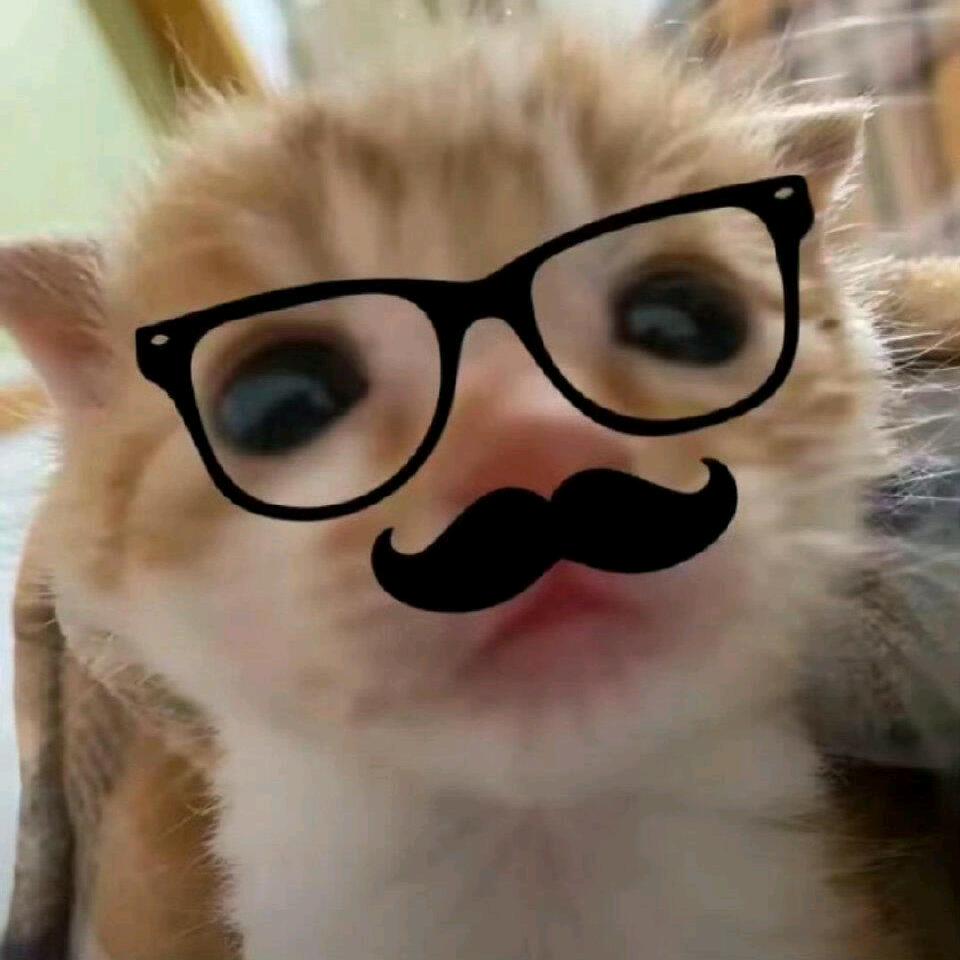 suiv_