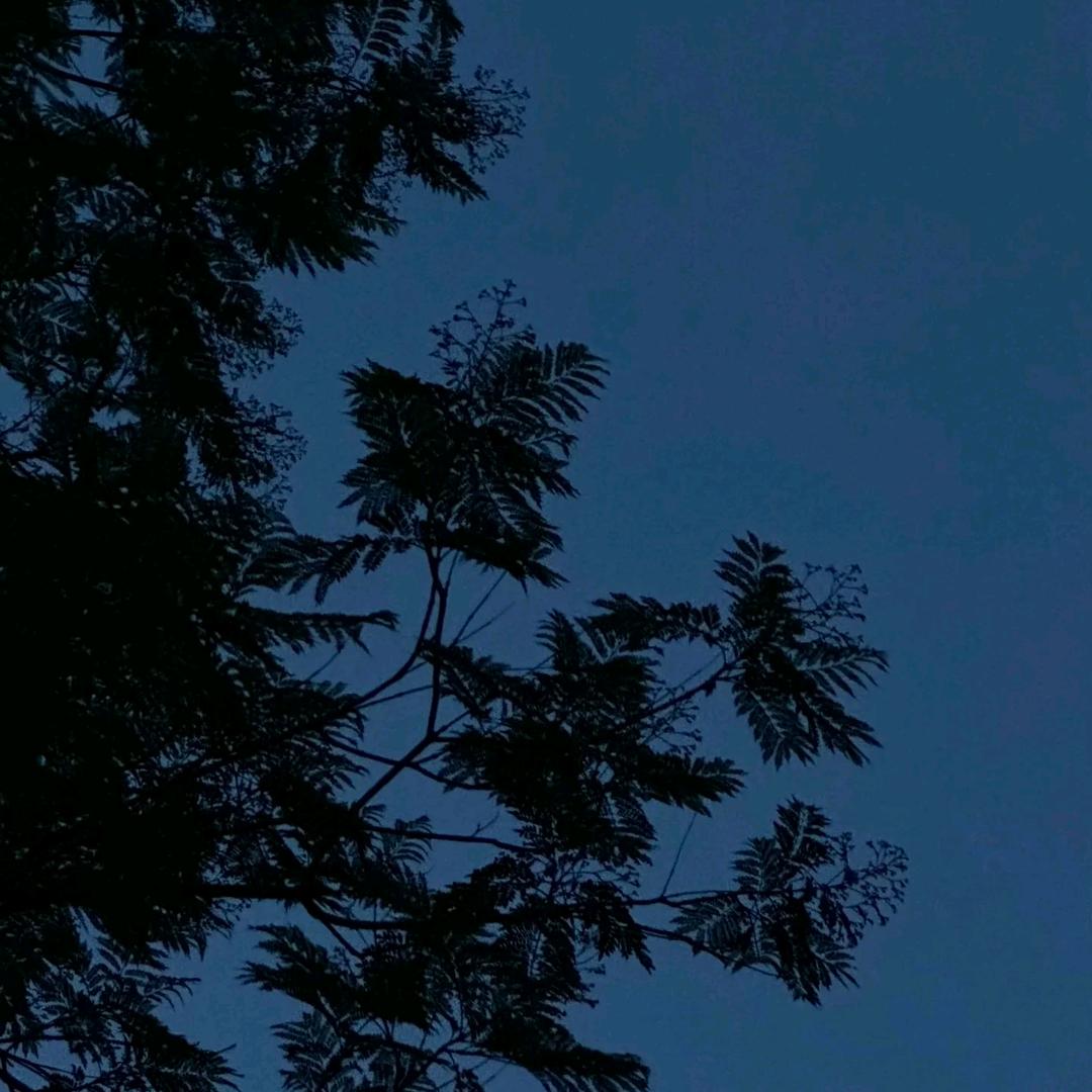 晚风剧吧
